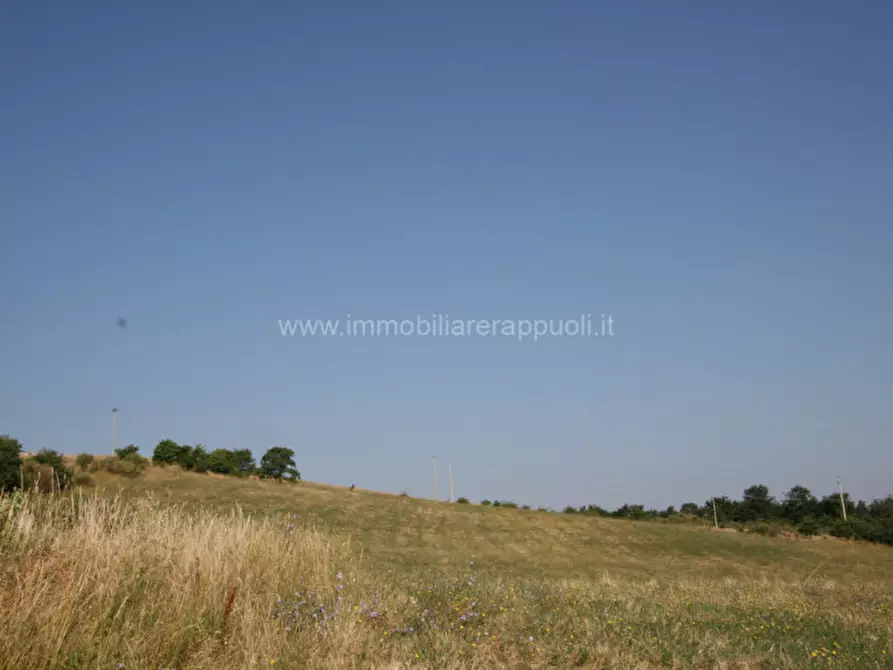 Immagine 6 di Rustico / casale in vendita  a Castiglione D'orcia