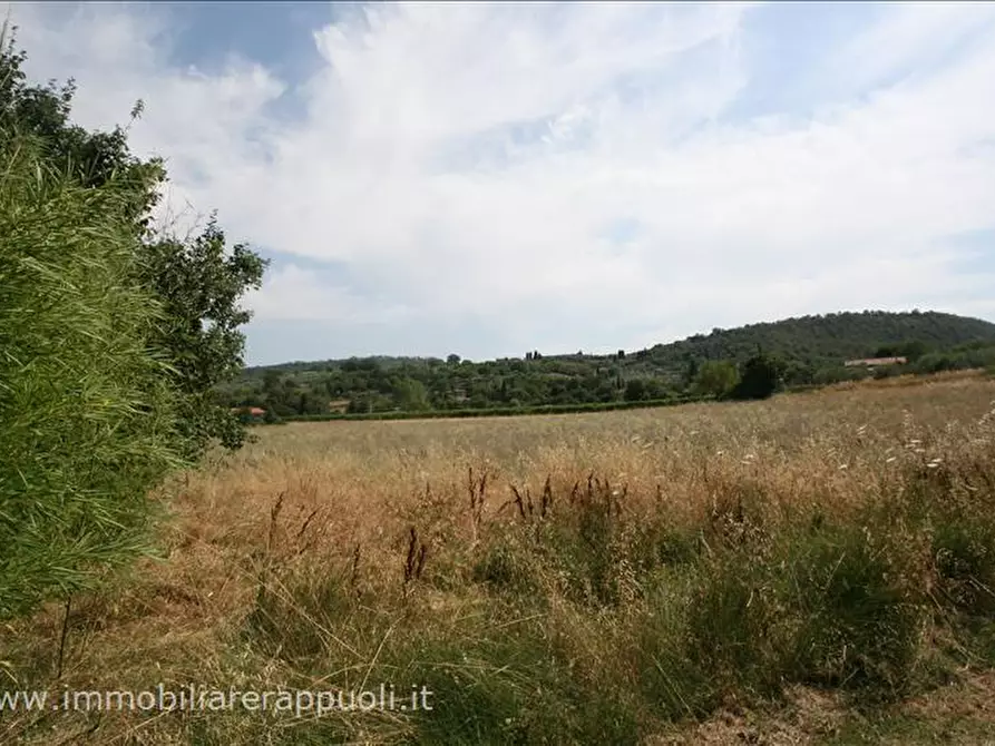 Immagine 4 di Terreno in vendita  a Sinalunga