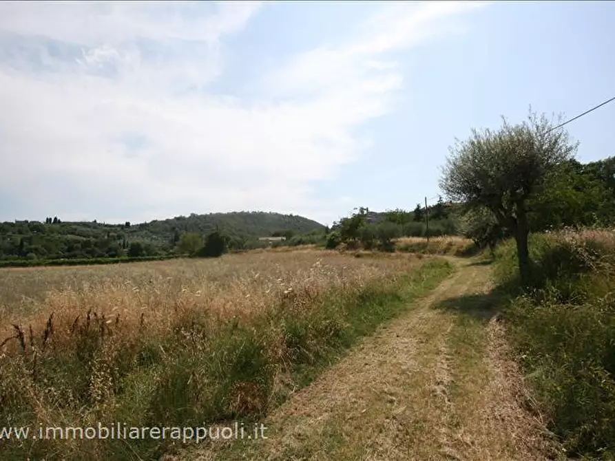 Immagine 5 di Terreno in vendita  a Sinalunga
