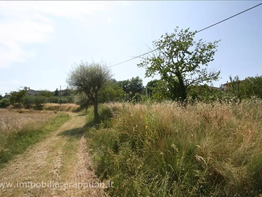 Immagine 6 di Terreno in vendita  a Sinalunga
