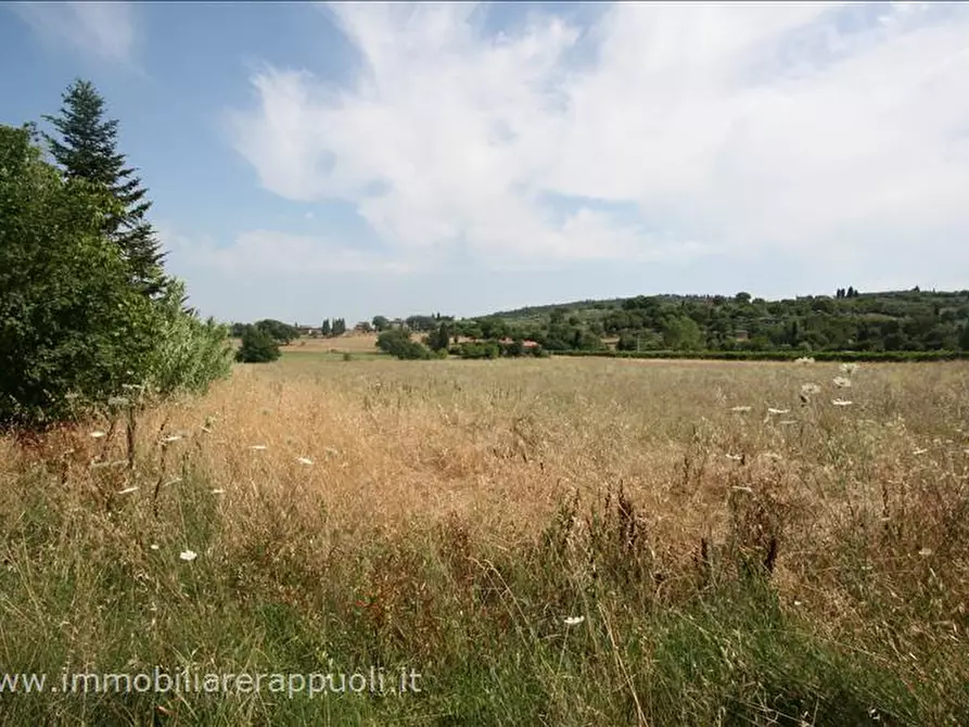 Immagine 8 di Terreno in vendita  a Sinalunga