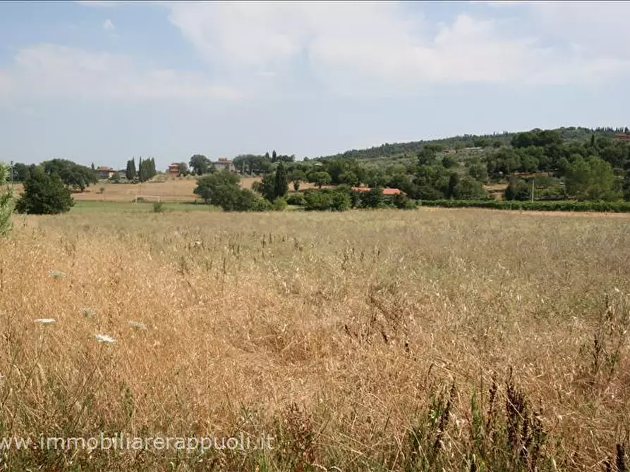 Immagine 9 di Terreno in vendita  a Sinalunga