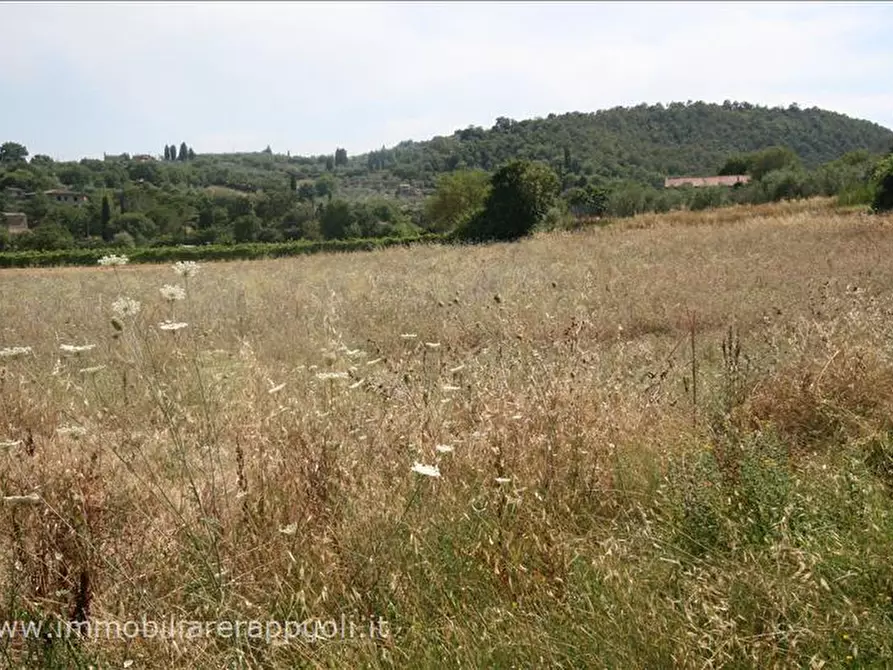 Immagine 10 di Terreno in vendita  a Sinalunga