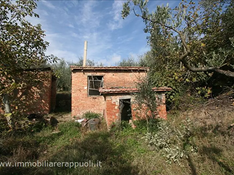 Immagine 4 di Terreno in vendita  a Sinalunga