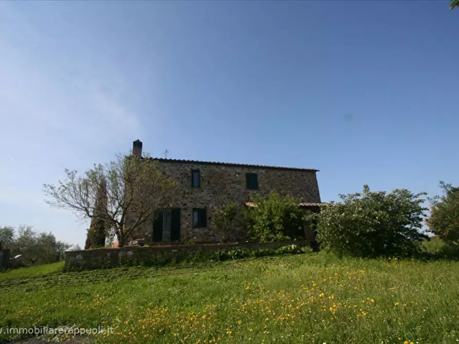 Immagine 12 di Rustico / casale in vendita  a Asciano