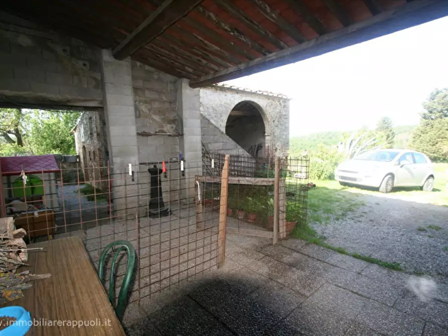 Immagine 22 di Rustico / casale in vendita  a Asciano