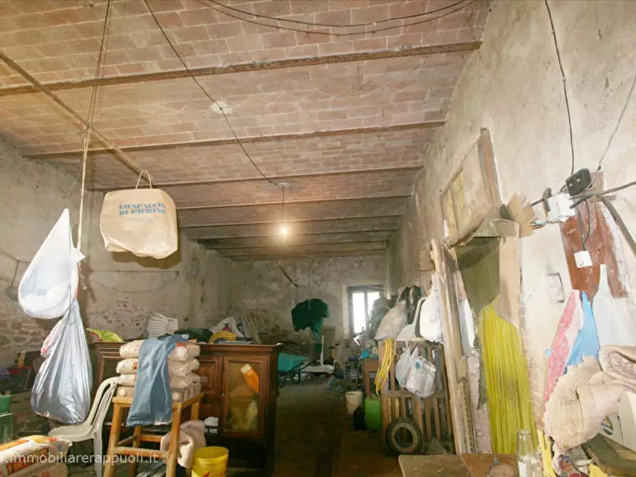 Immagine 24 di Rustico / casale in vendita  a Asciano