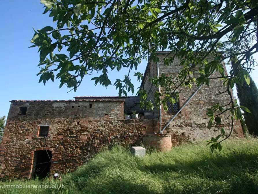 Immagine 29 di Rustico / casale in vendita  a Asciano