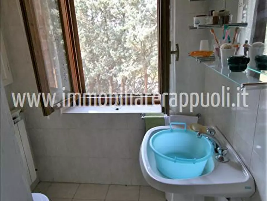 Immagine 10 di Rustico / casale in vendita  a Sinalunga