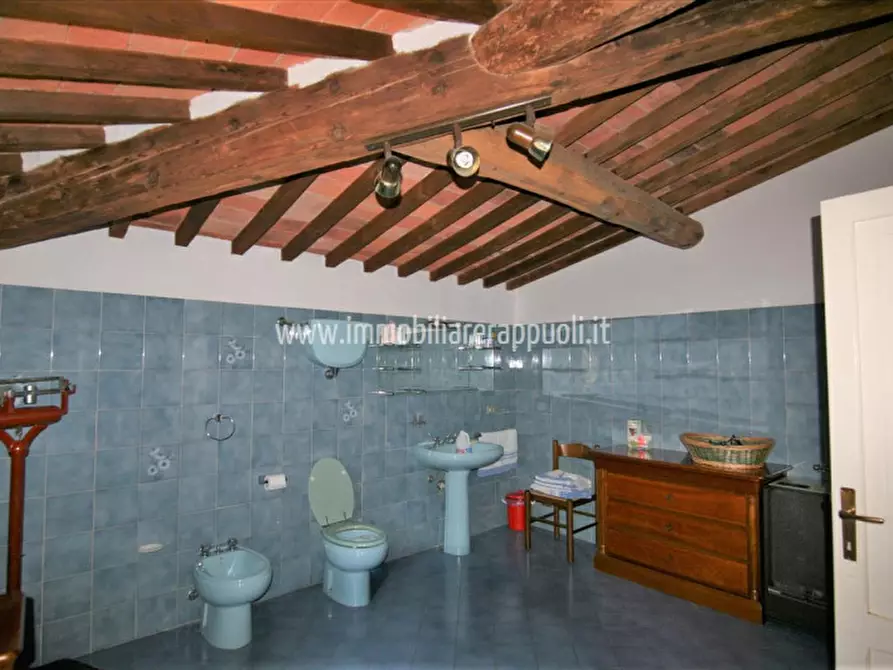 Immagine 11 di Rustico / casale in vendita  a Sinalunga