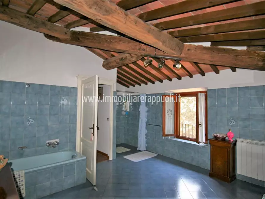 Immagine 12 di Rustico / casale in vendita  a Sinalunga