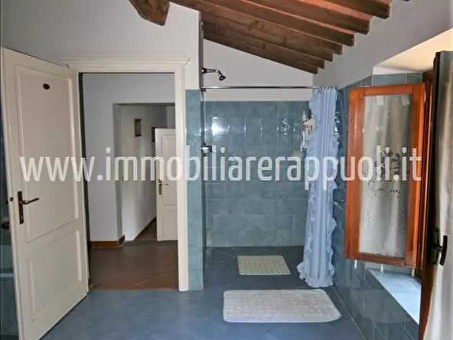 Immagine 13 di Rustico / casale in vendita  a Sinalunga