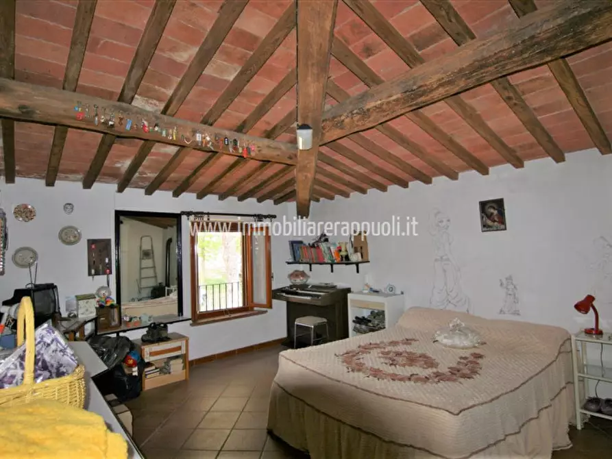 Immagine 14 di Rustico / casale in vendita  a Sinalunga