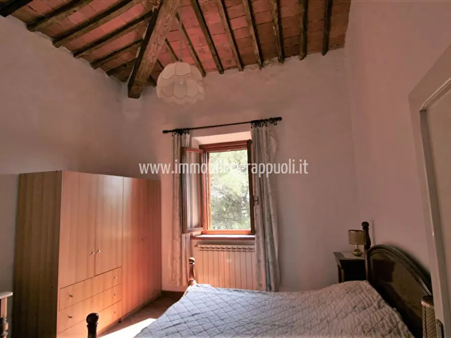 Immagine 21 di Rustico / casale in vendita  a Sinalunga