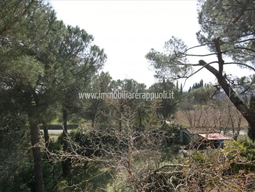 Immagine 23 di Rustico / casale in vendita  a Sinalunga