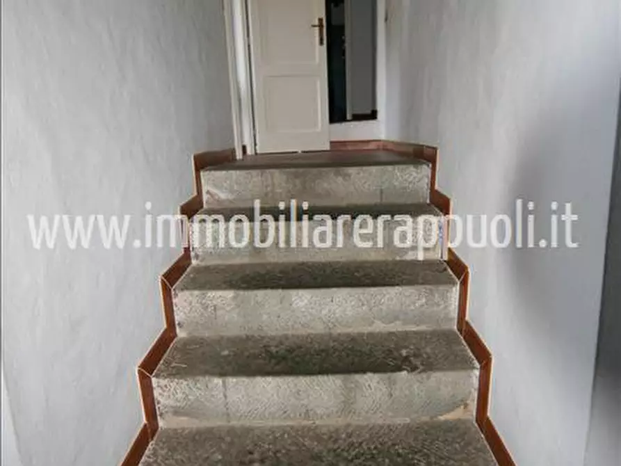 Immagine 25 di Rustico / casale in vendita  a Sinalunga
