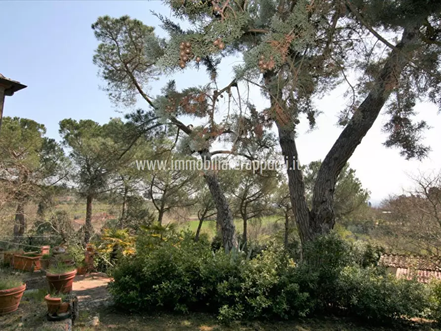 Immagine 31 di Rustico / casale in vendita  a Sinalunga