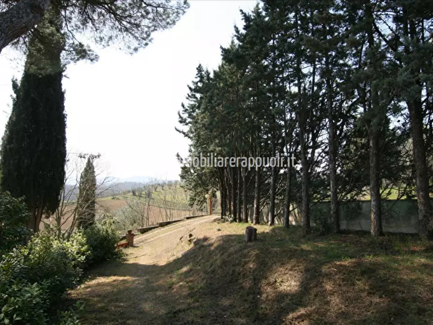 Immagine 32 di Rustico / casale in vendita  a Sinalunga