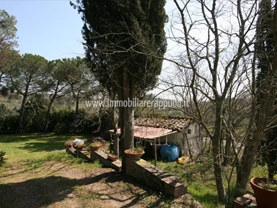 Immagine 33 di Rustico / casale in vendita  a Sinalunga