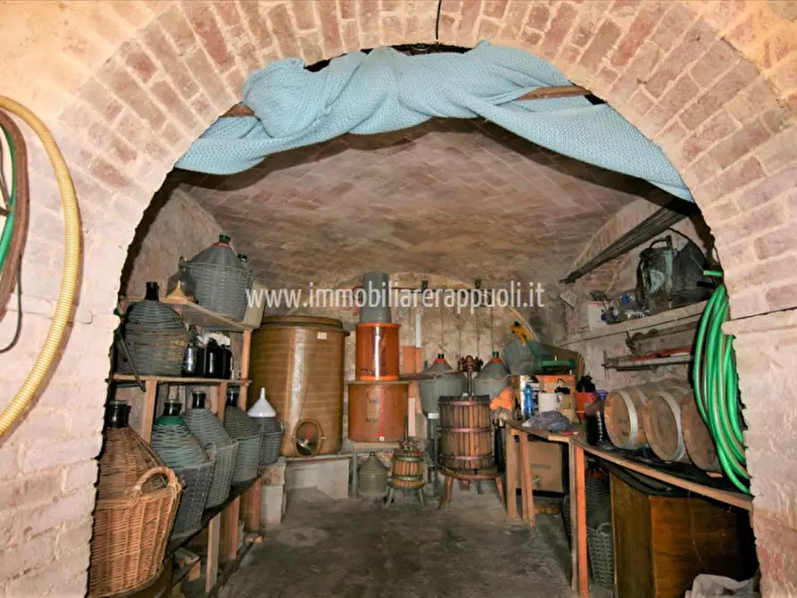 Immagine 40 di Rustico / casale in vendita  a Sinalunga