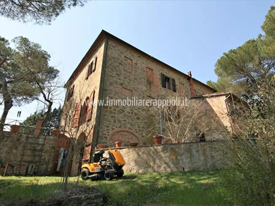 Immagine 41 di Rustico / casale in vendita  a Sinalunga