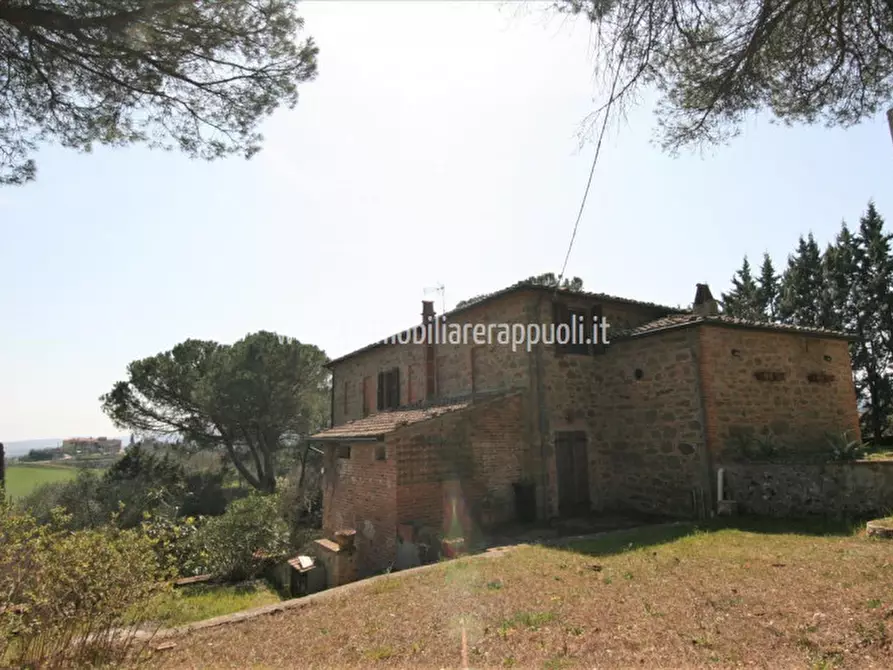 Immagine 44 di Rustico / casale in vendita  a Sinalunga