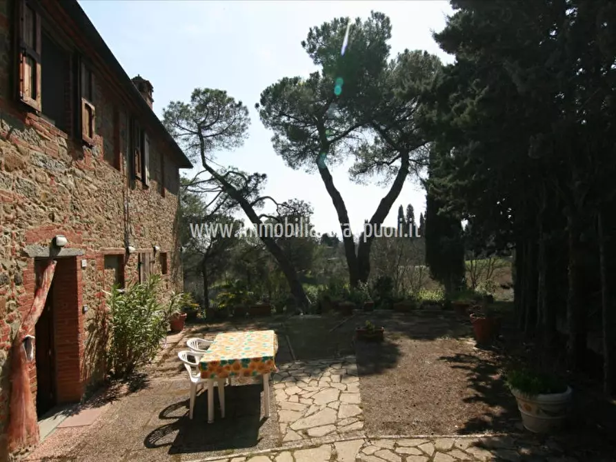 Immagine 47 di Rustico / casale in vendita  a Sinalunga