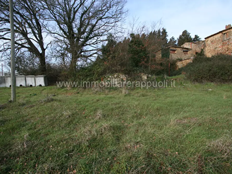 Immagine 2 di Rustico / casale in vendita  a Trequanda