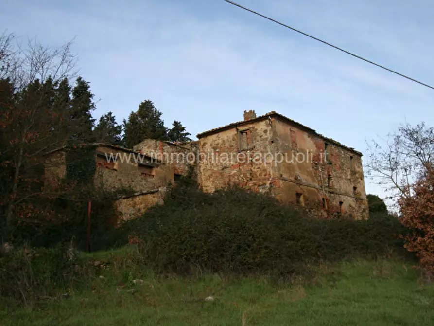 Immagine 3 di Rustico / casale in vendita  a Trequanda