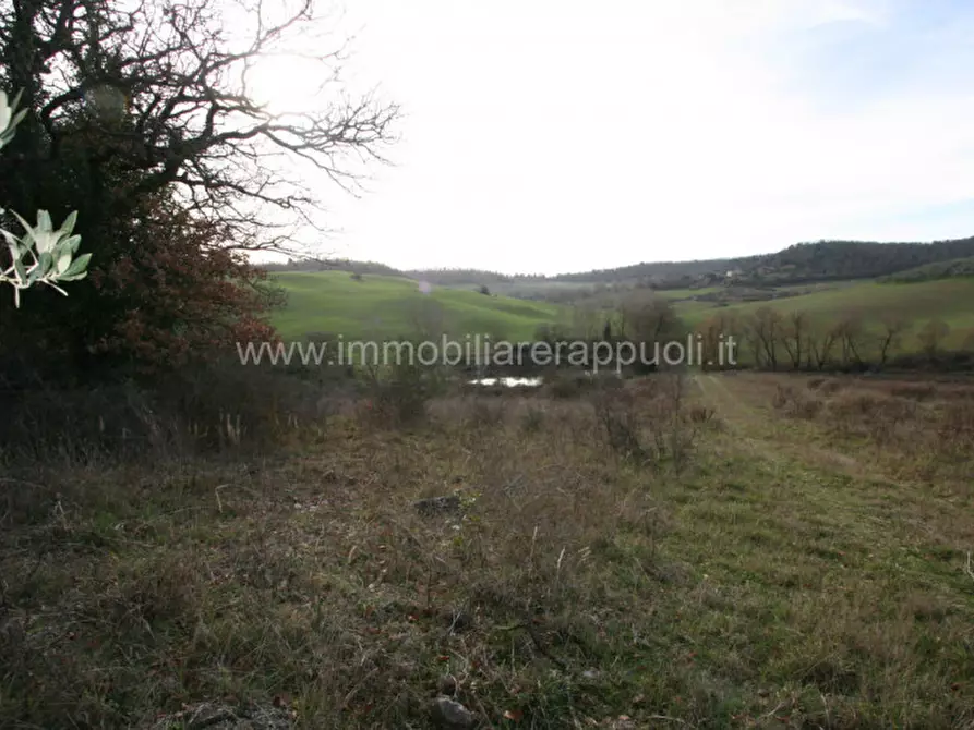 Immagine 4 di Rustico / casale in vendita  a Trequanda