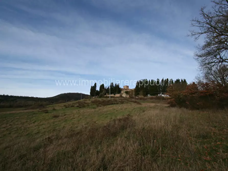Immagine 5 di Rustico / casale in vendita  a Trequanda