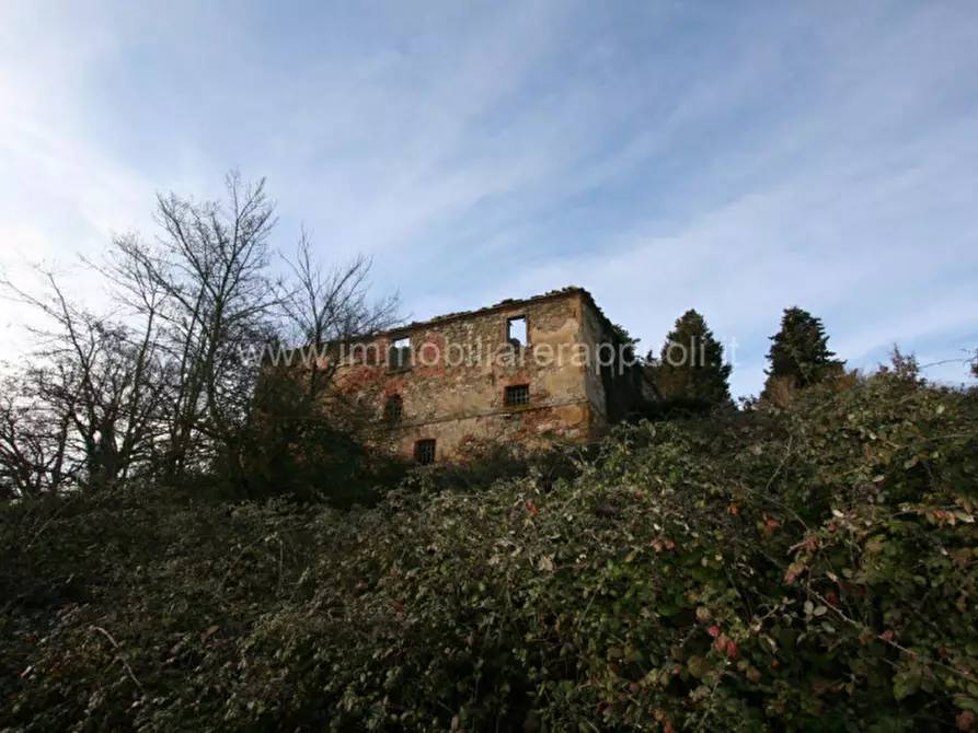 Immagine 6 di Rustico / casale in vendita  a Trequanda