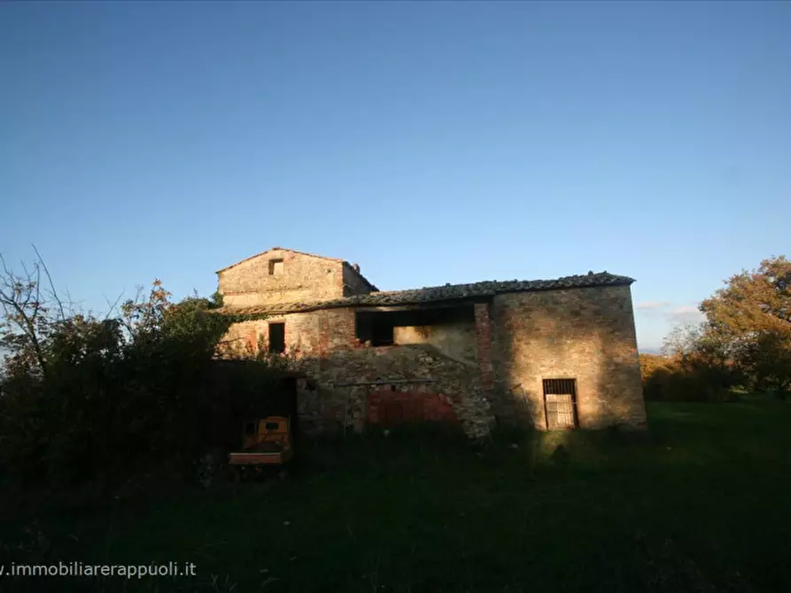 Immagine 2 di Rustico / casale in vendita  a Lucignano