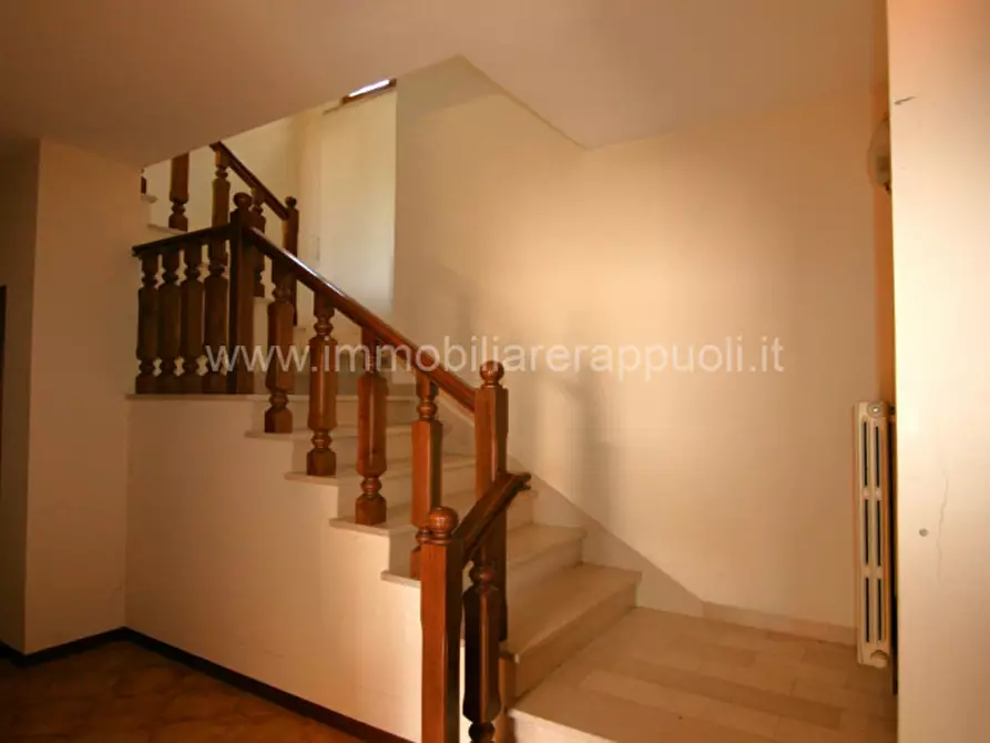 Immagine 2 di Villetta a schiera in vendita  a Trequanda