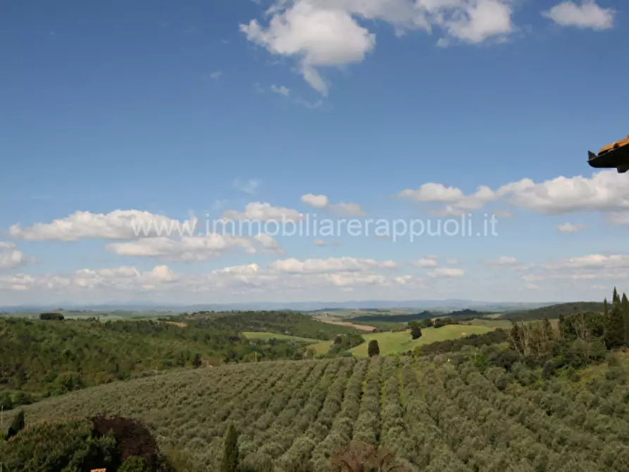 Immagine 24 di Villetta a schiera in vendita  a Trequanda