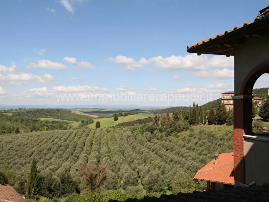 Immagine 26 di Villetta a schiera in vendita  a Trequanda