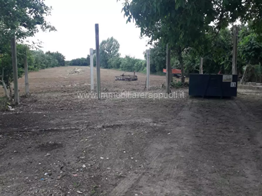 Immagine 13 di Casa indipendente in vendita  a Sinalunga