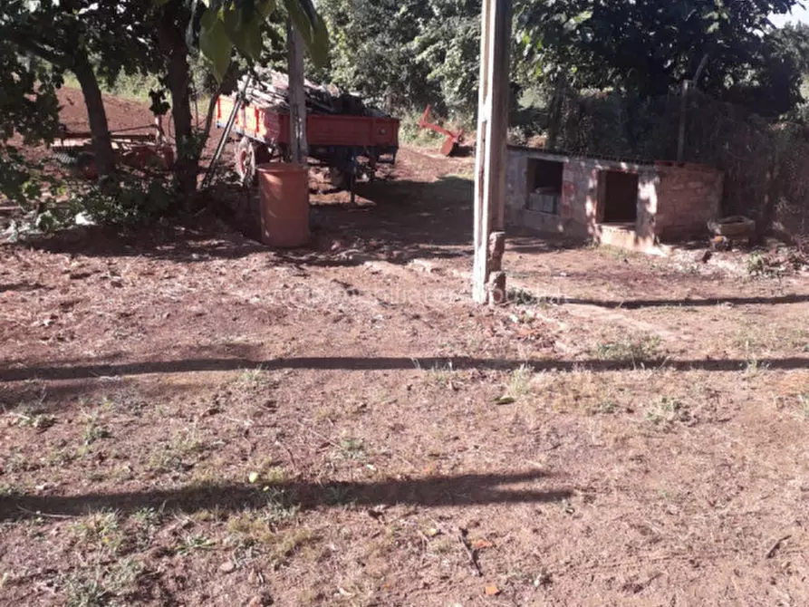 Immagine 14 di Casa indipendente in vendita  a Sinalunga