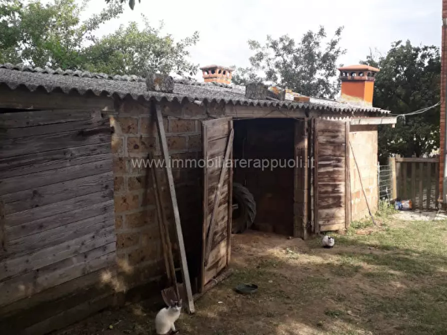 Immagine 15 di Casa indipendente in vendita  a Sinalunga