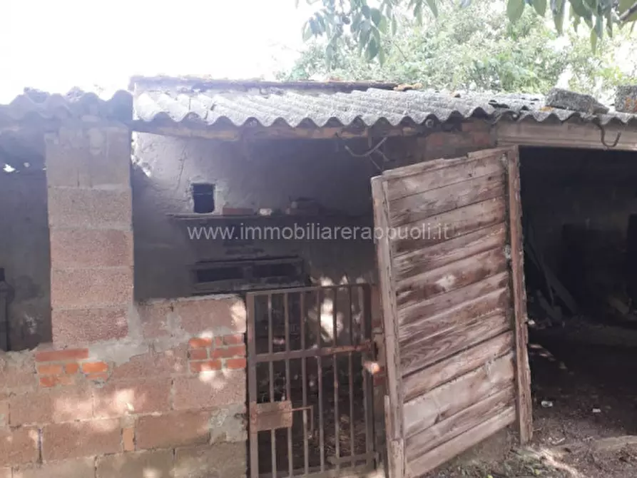 Immagine 17 di Casa indipendente in vendita  a Sinalunga