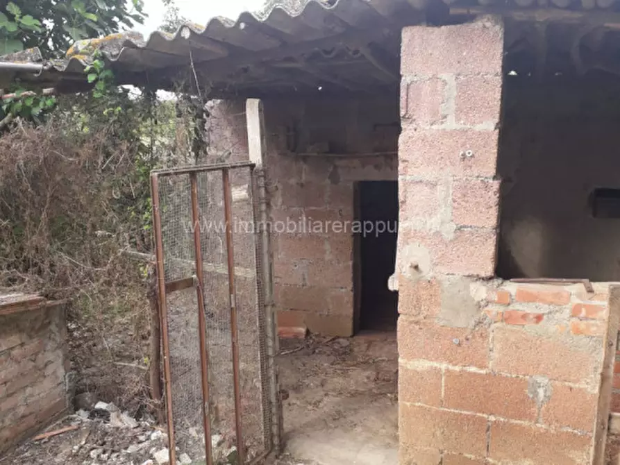 Immagine 18 di Casa indipendente in vendita  a Sinalunga