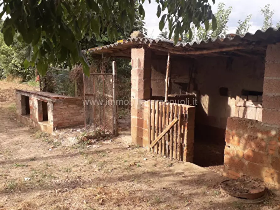 Immagine 19 di Casa indipendente in vendita  a Sinalunga