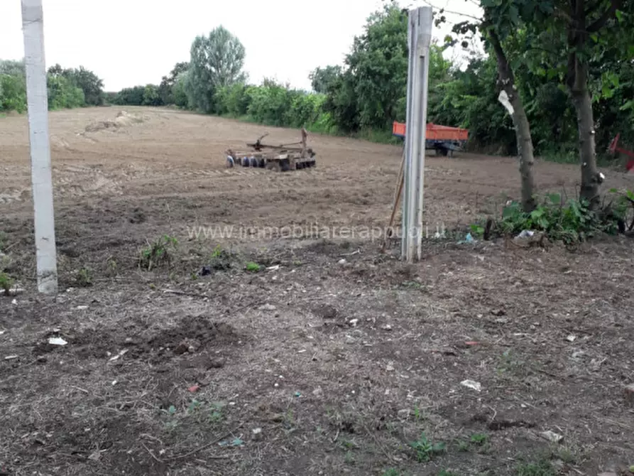 Immagine 21 di Casa indipendente in vendita  a Sinalunga