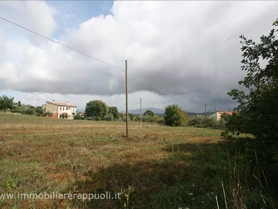 Immagine 1 di Terreno in vendita  a Foiano Della Chiana