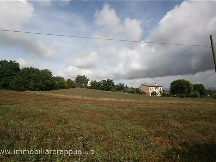 Immagine 2 di Terreno in vendita  a Foiano Della Chiana