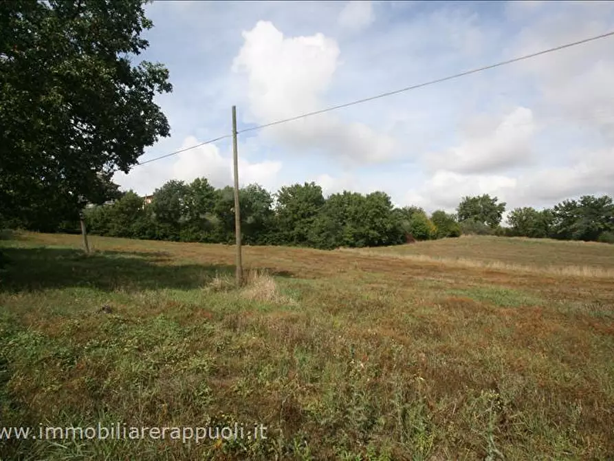 Immagine 3 di Terreno in vendita  a Foiano Della Chiana