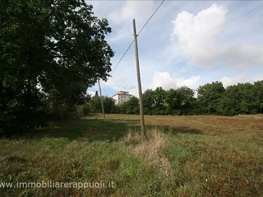 Immagine 4 di Terreno in vendita  a Foiano Della Chiana