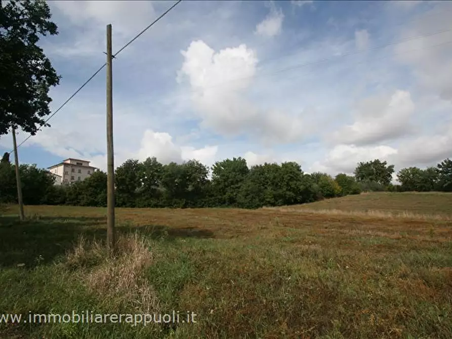 Immagine 5 di Terreno in vendita  a Foiano Della Chiana