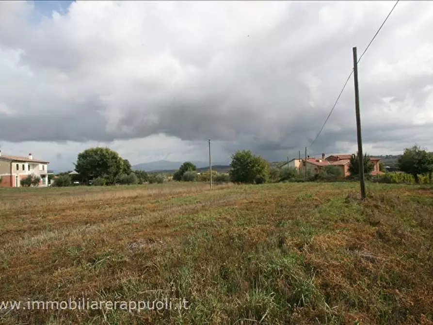 Immagine 6 di Terreno in vendita  a Foiano Della Chiana