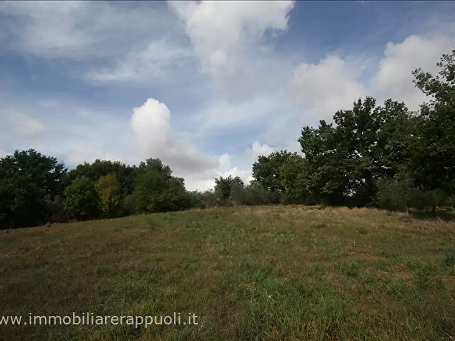 Immagine 7 di Terreno in vendita  a Foiano Della Chiana